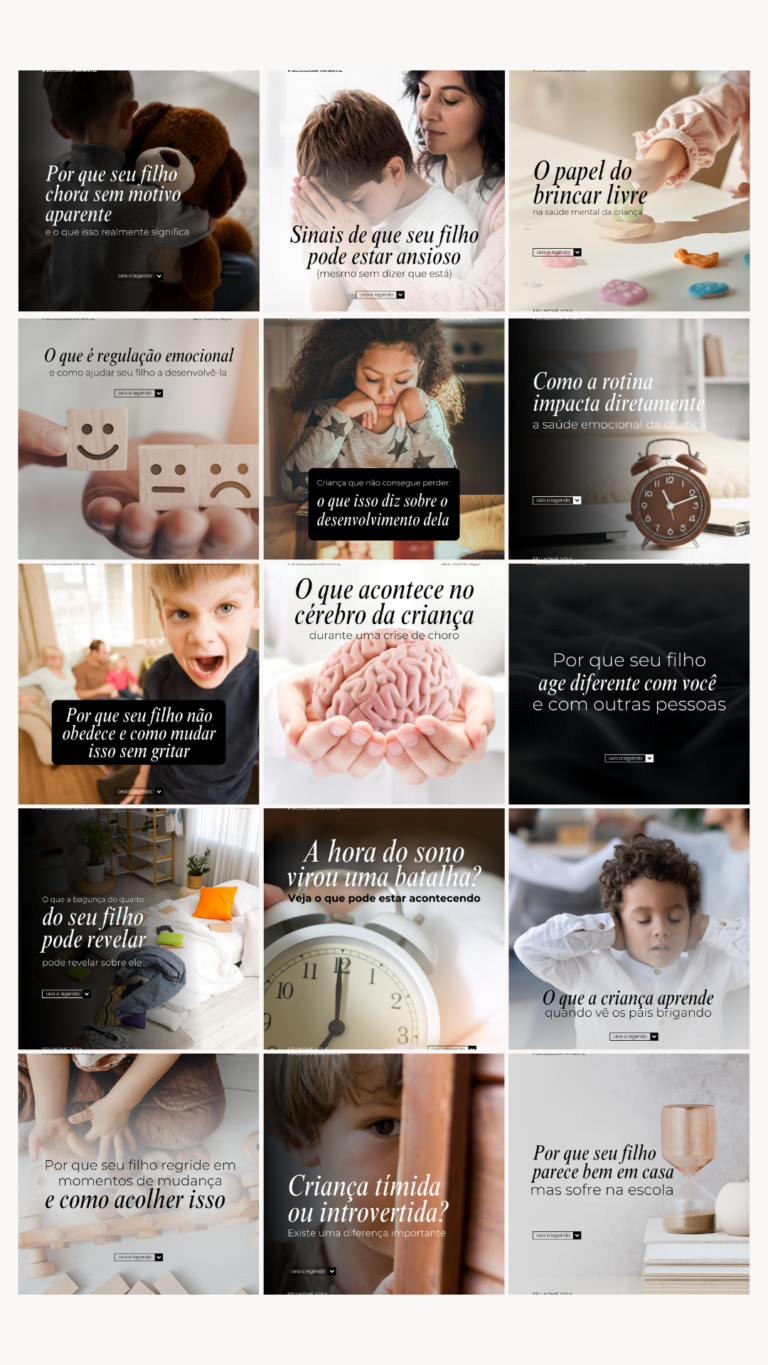 Cópia de ORGANIZADOR DE FEED (4)