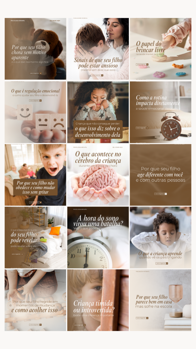 Cópia de ORGANIZADOR DE FEED (6)